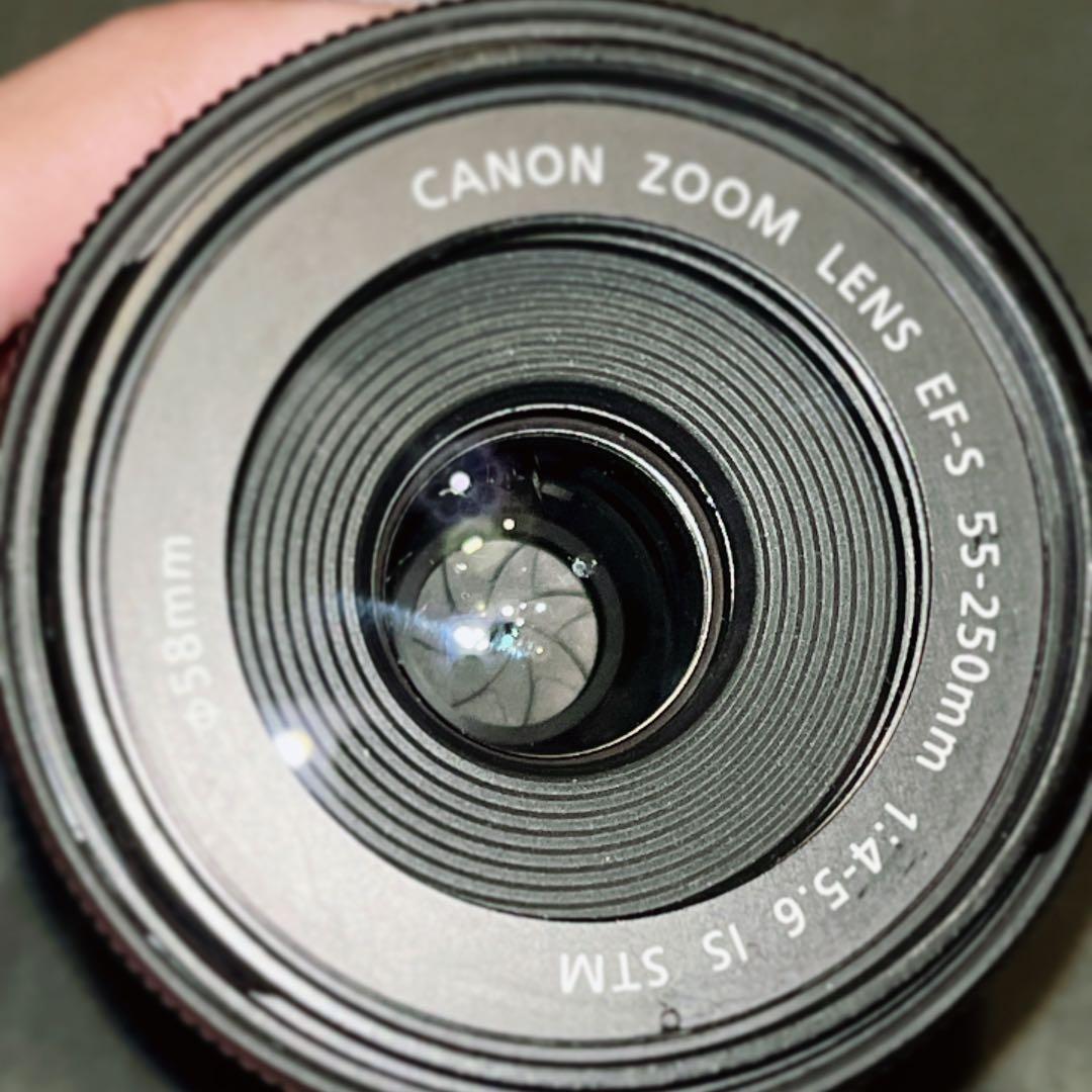 Canon 望遠レンズ EF-S55-250mm F4-5.6 IS STM