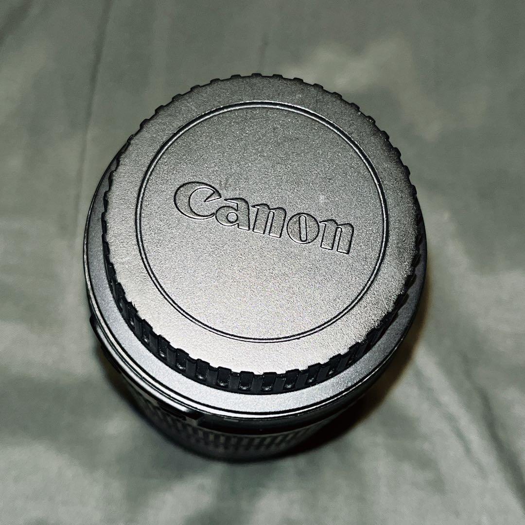 Canon 望遠レンズ EF-S55-250mm F4-5.6 IS STM