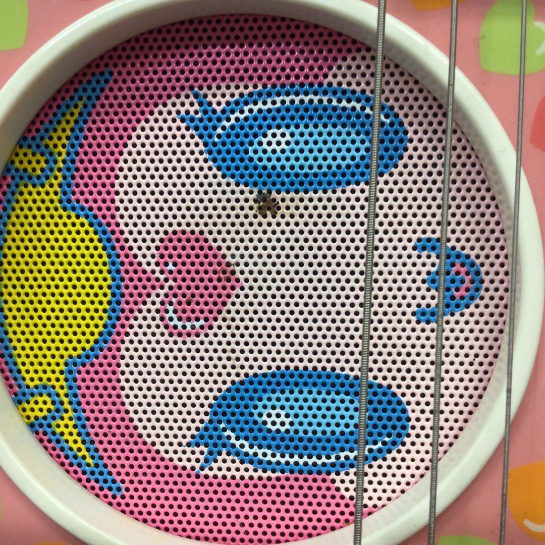 フェルナンデス ぞうさんギター サンリオ あややモデル zo-3 - メルカリ