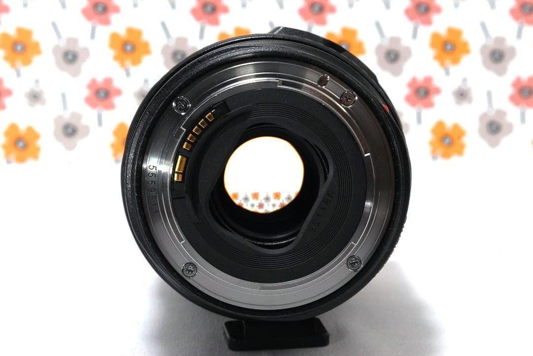 ☆Canon EF 24-105mm F4L IS USM☆最高級のLレンズ☆