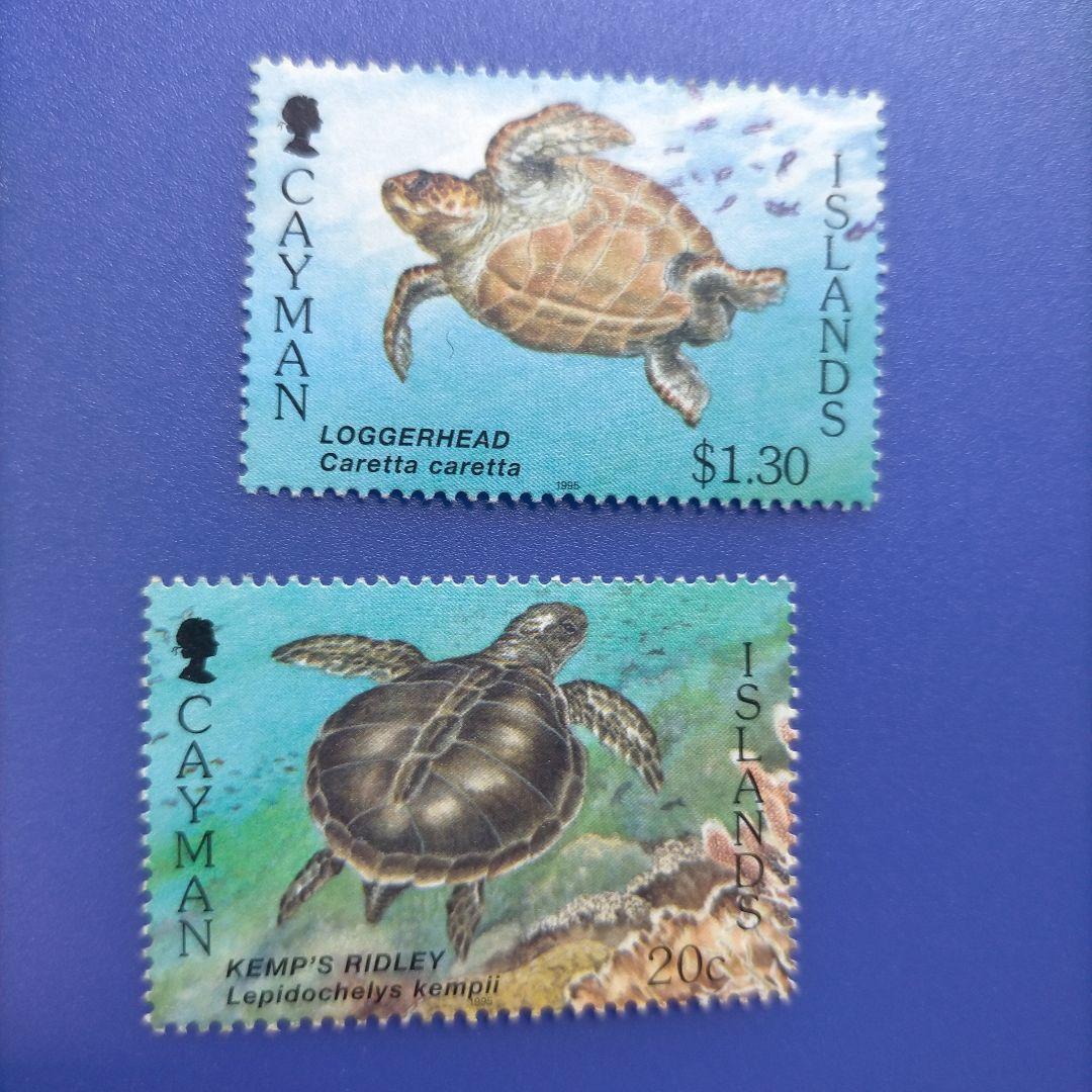 3861 外国切手 ケイマン諸島 1995年 ウミガメ 6種完 - メルカリ
