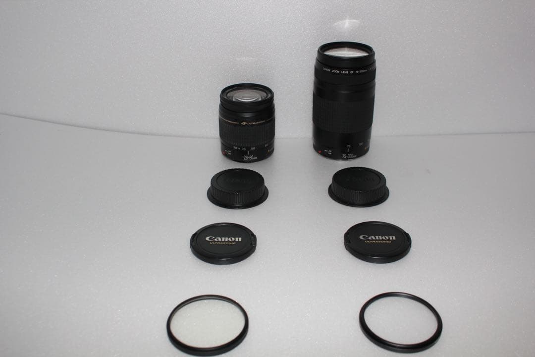 キャノン Canon EOS 80D 標準&望遠ダブルレンズセット