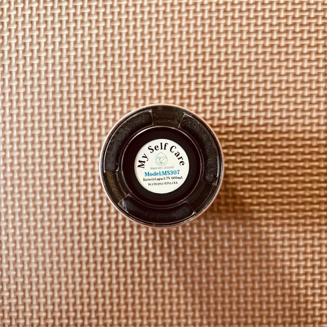 Perfect 10 32bitハイレゾ録音 マナーズサウンド スピーカー