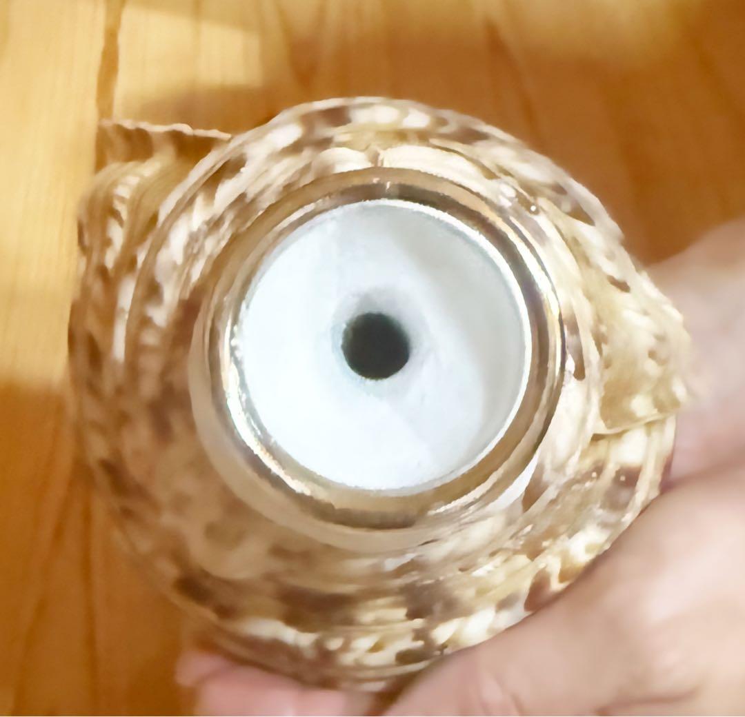 修験道法螺貝 山伏 密教 魔除け 熊よけ❣️ホラガイ ほら貝