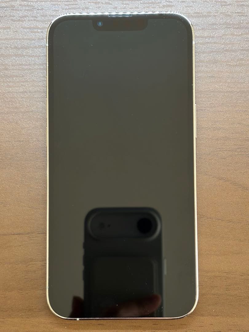 【極美品】iPhone 13 Pro 256GB silver 本体のみ