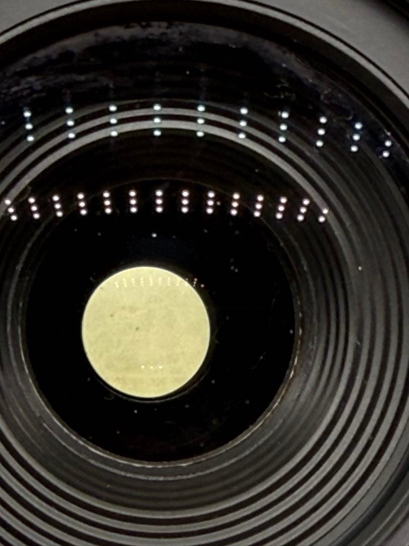 Canon EF-S 55-250mm 4-5.6 is Ⅱ #270