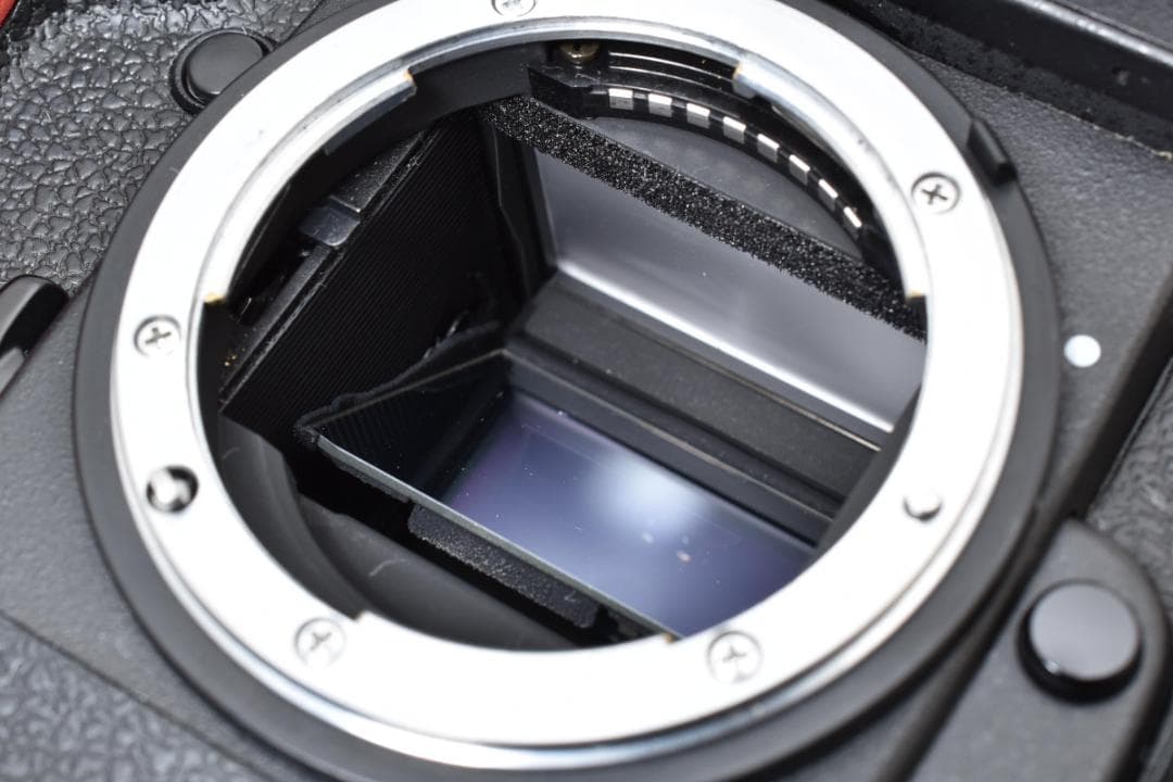 美品 NIKON F5 説明書 専用バッグ付き フィルム モルト良好品 B450