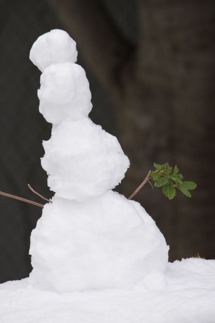 キャノン　EF-s55-250mm IS Ⅱ