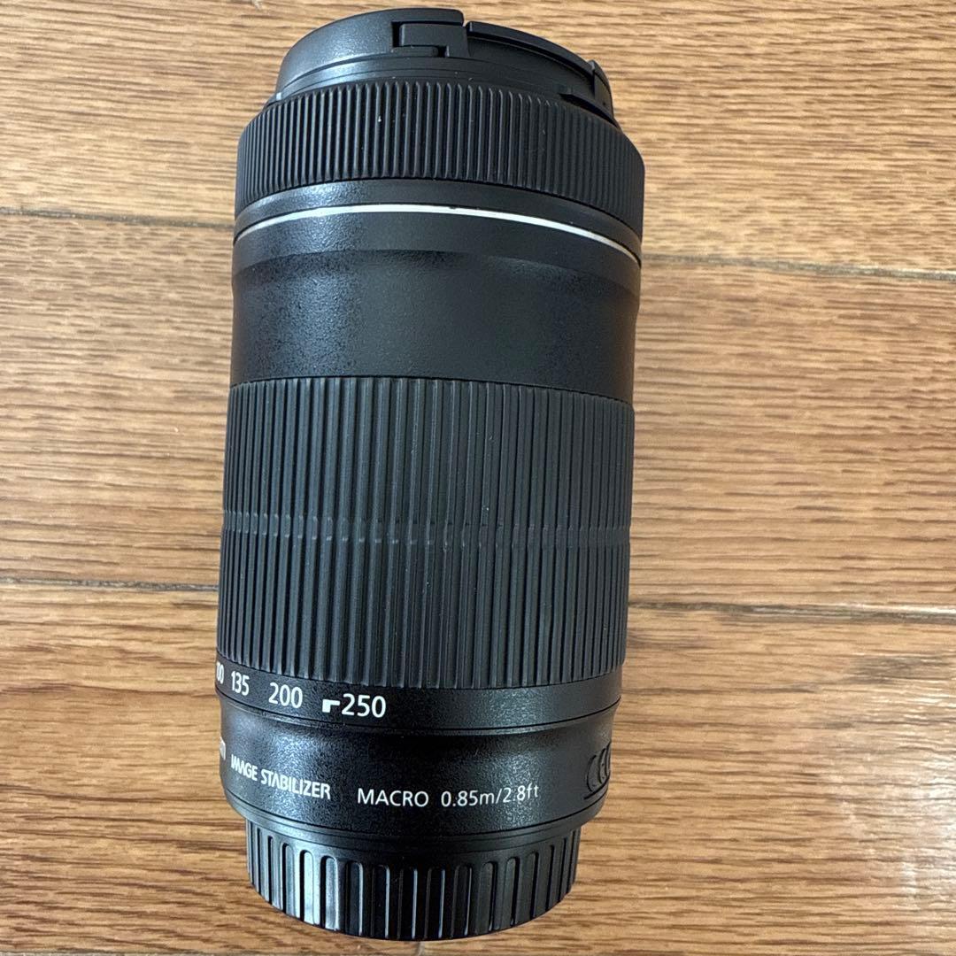 Canon EF-S 55-250mm F4-5.6 IS STM(ジャンク品)