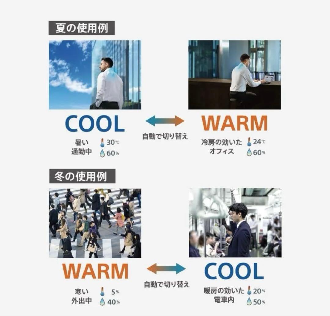 SONY レオンポケット　プロ　REON POCKET PRO RNPK-P1