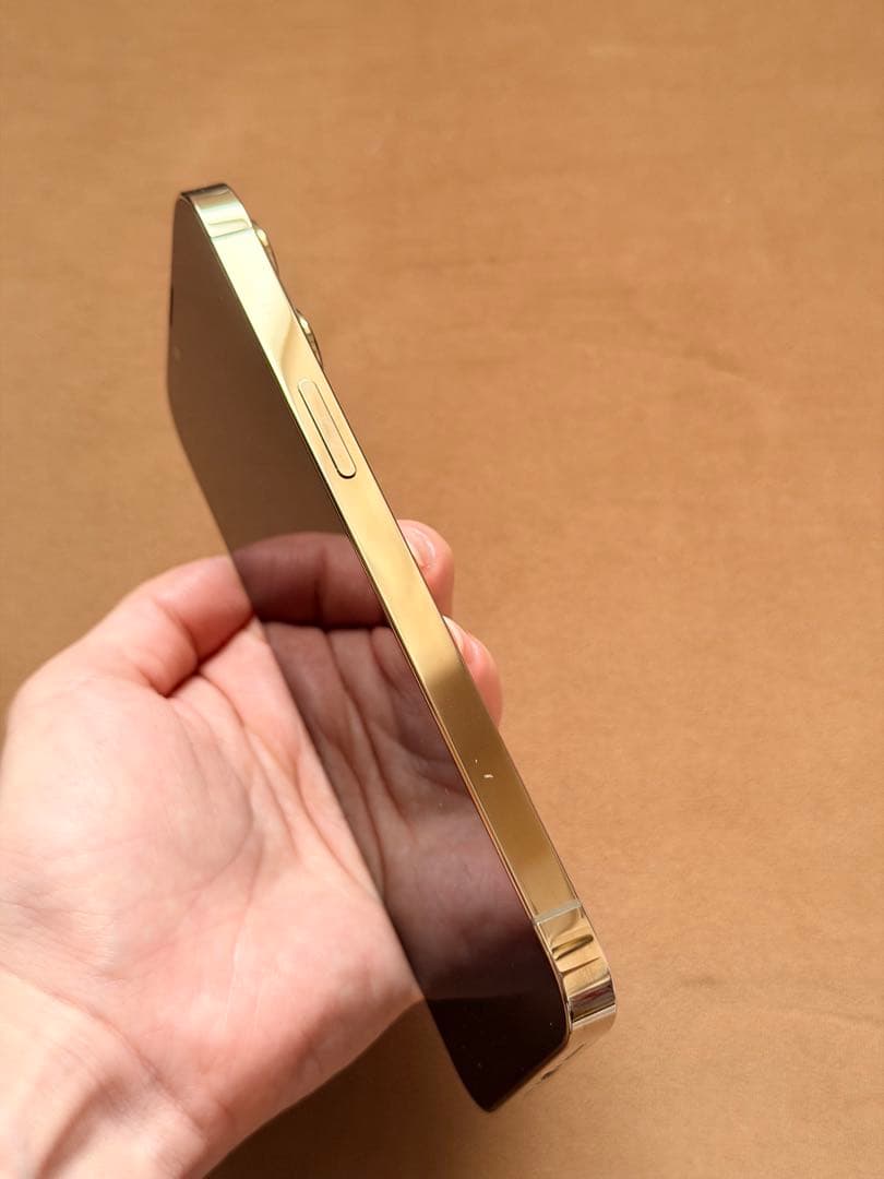 【両面カバー付き】Apple iPhone 13 Pro ゴールド