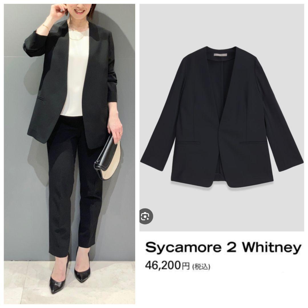 theory luxe 24SS Sycamore 2 Whitney - メルカリ