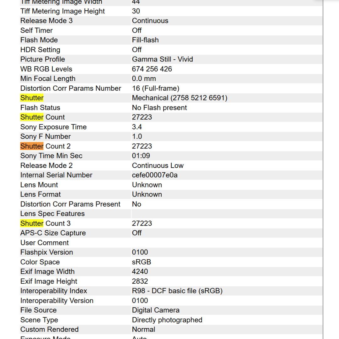 [GLOBAL MODEL] SONY α7sII ILCE−7SM2 海外