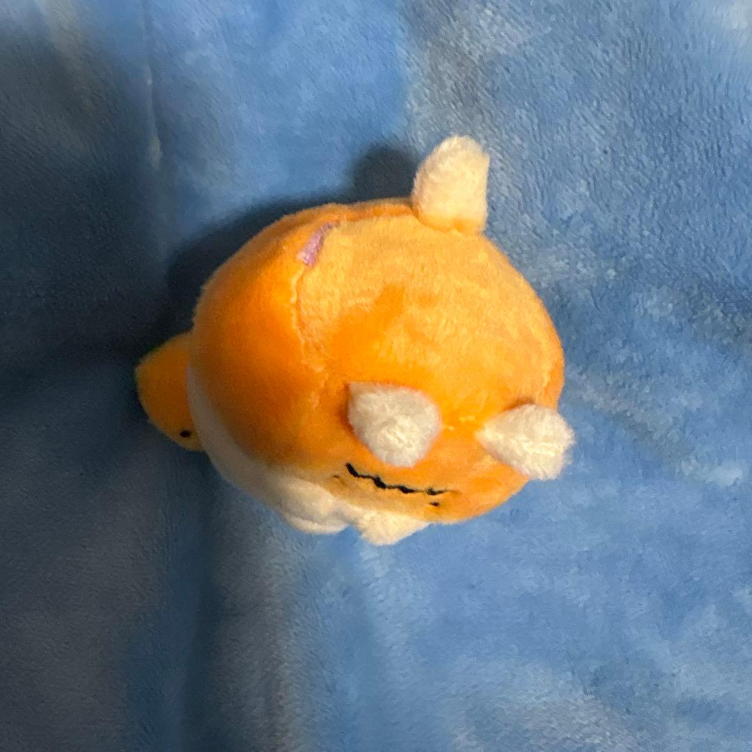 激レア すみっコぐらし てのりぬいぐるみ ハロウィン 受注 2016 ねこ