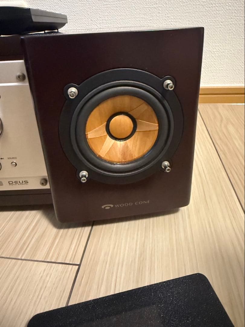 ろ*ん様 美品Victor ビクター ウッドコーン　EX-B5 最高峰　最安