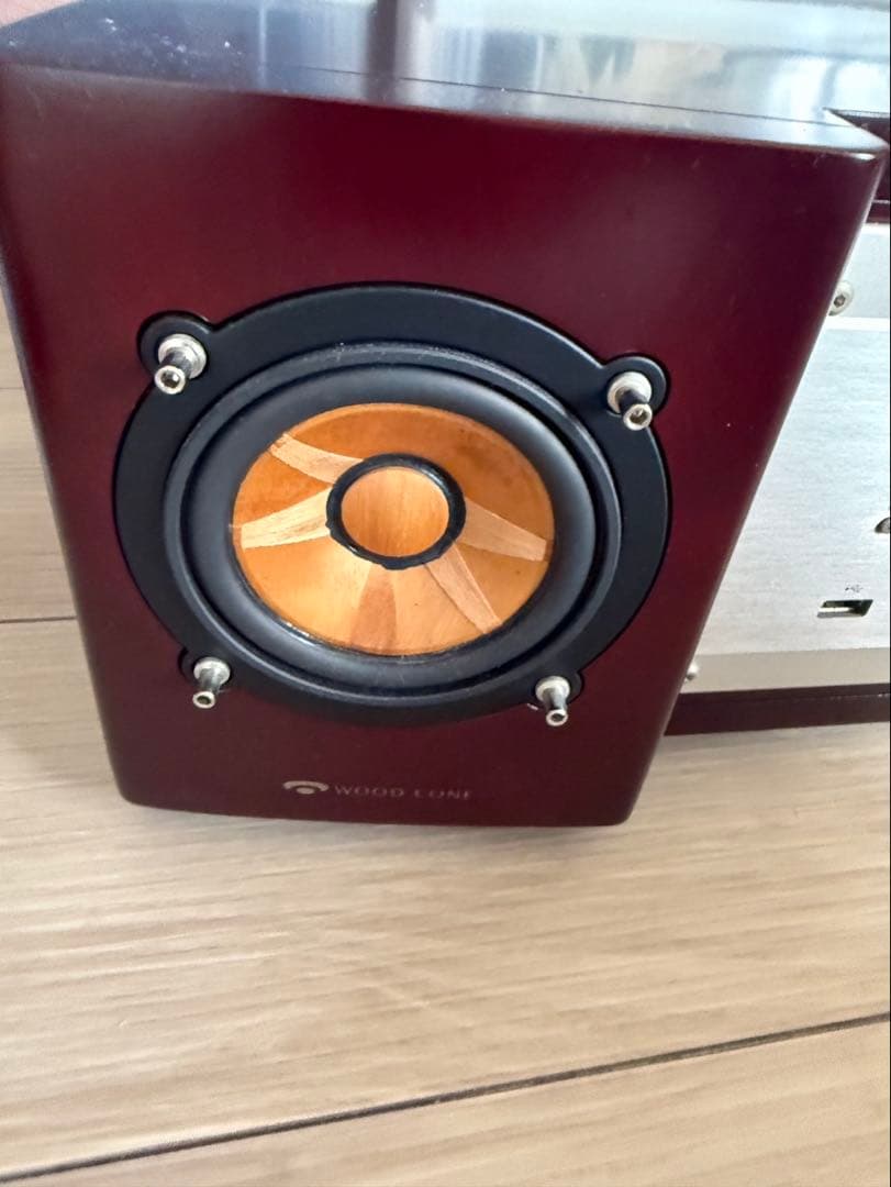 ろ*ん様 美品Victor ビクター ウッドコーン　EX-B5 最高峰　最安