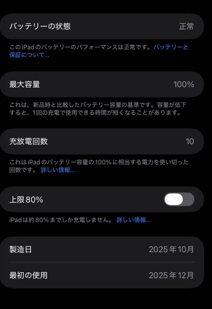 iPad mini (A17-Pro) 128GB 第7世代　スペースグレイ