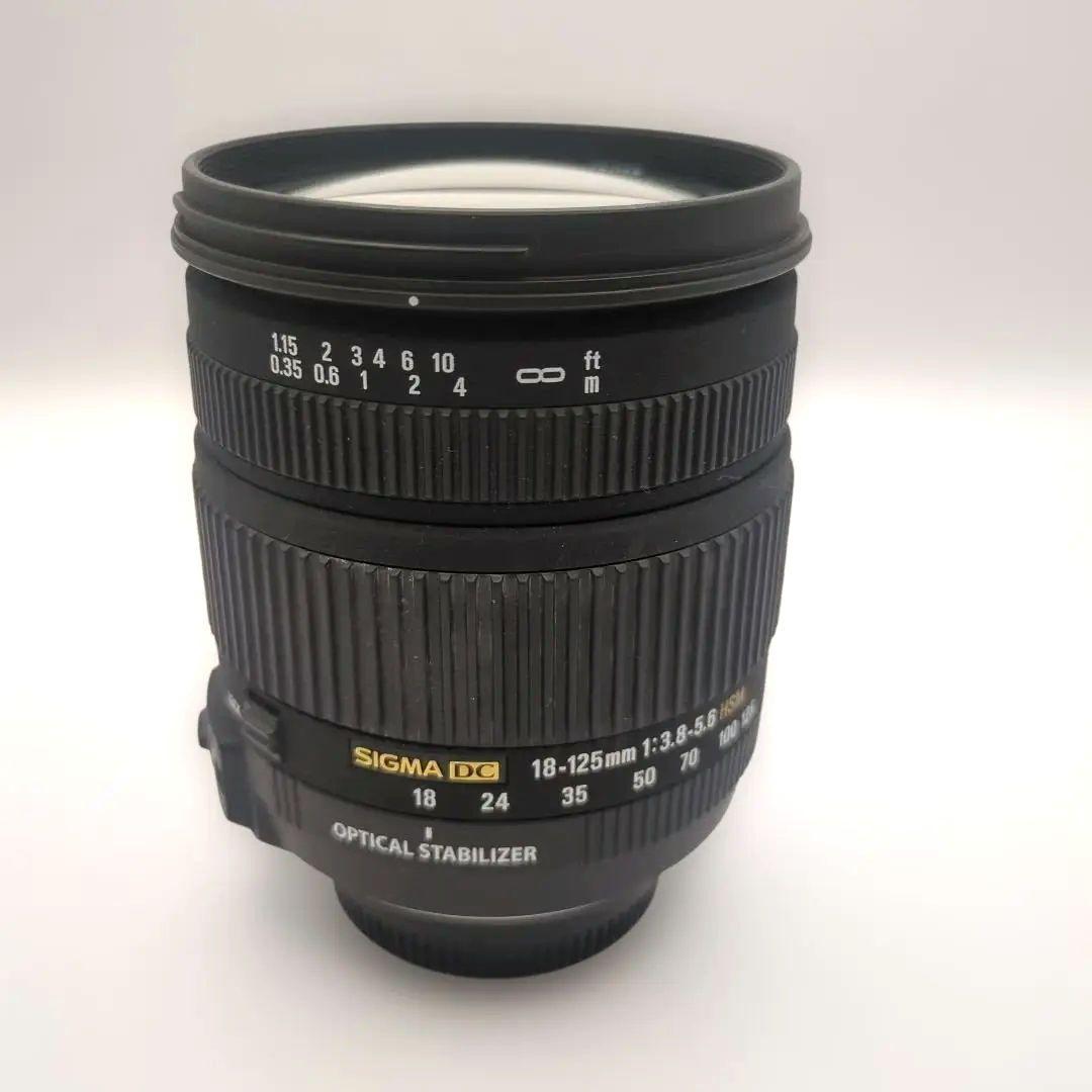 フ*ウ様 Nikon D80 シグマ18-125mmレンズ付き 動作確認済 CC