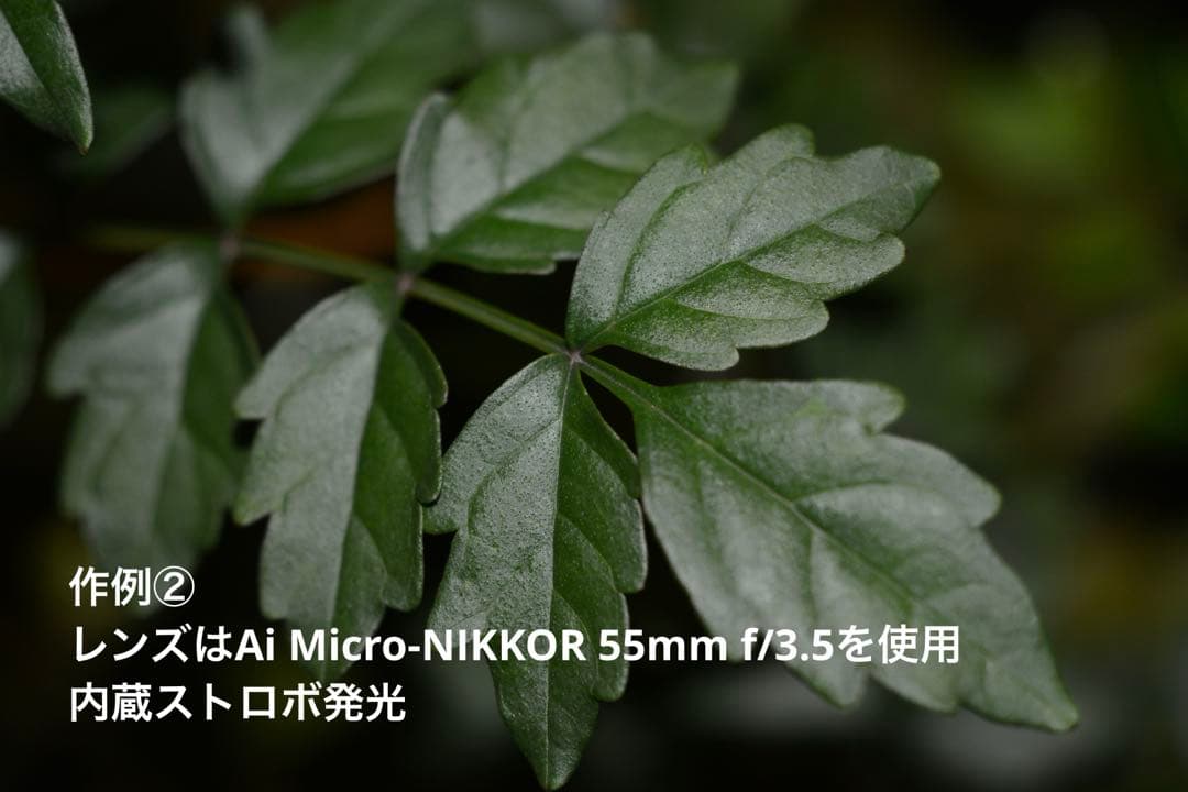 Nikon D7100 最終値下げ