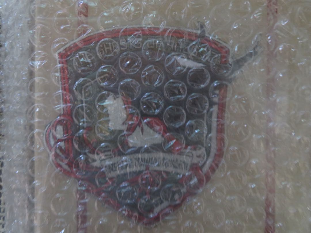 エースコンバット 姫君の青い鳥 ラーズグリーズワッペン