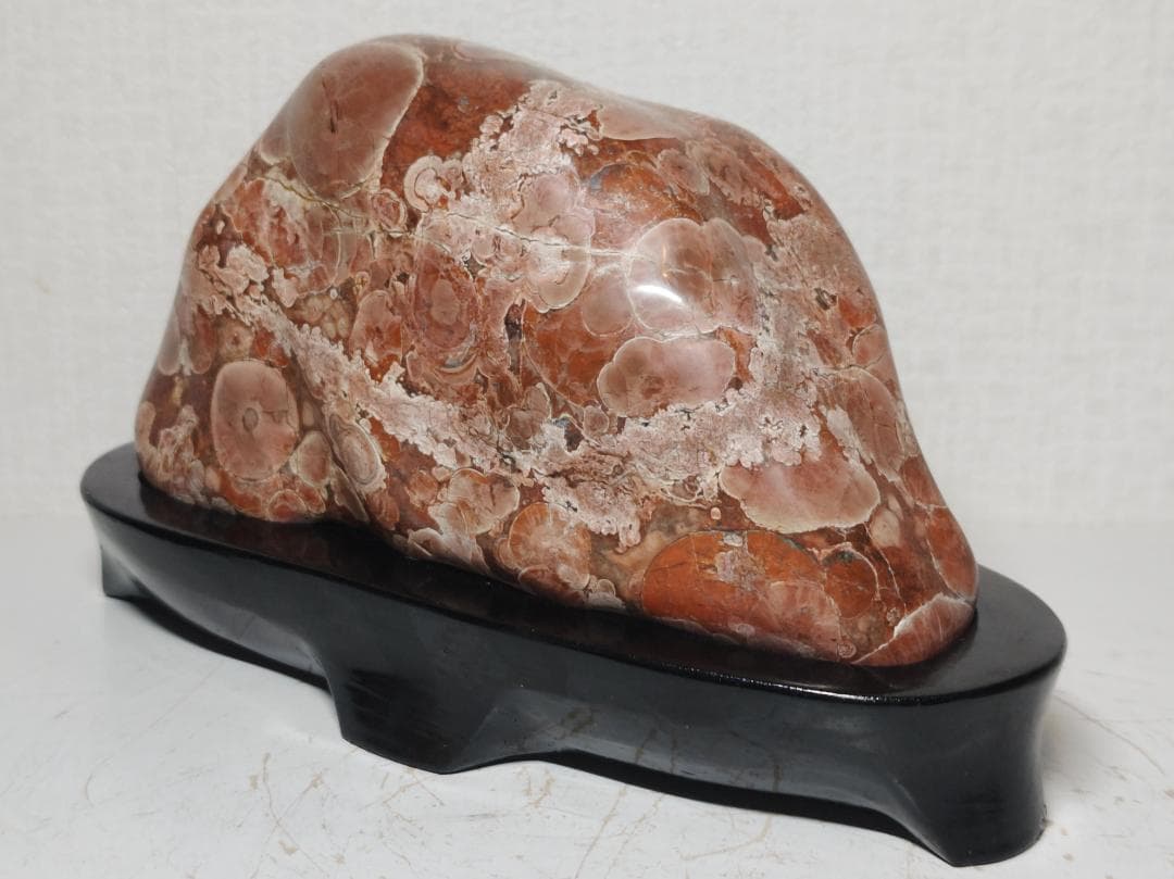 梅花石 1.6kg 鑑賞石 原石 菊花石 紋石 花紋石 自然石 水石 置石