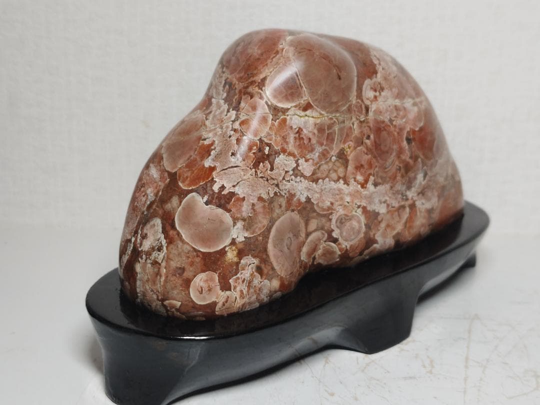 梅花石 1.6kg 鑑賞石 原石 菊花石 紋石 花紋石 自然石 水石 置石