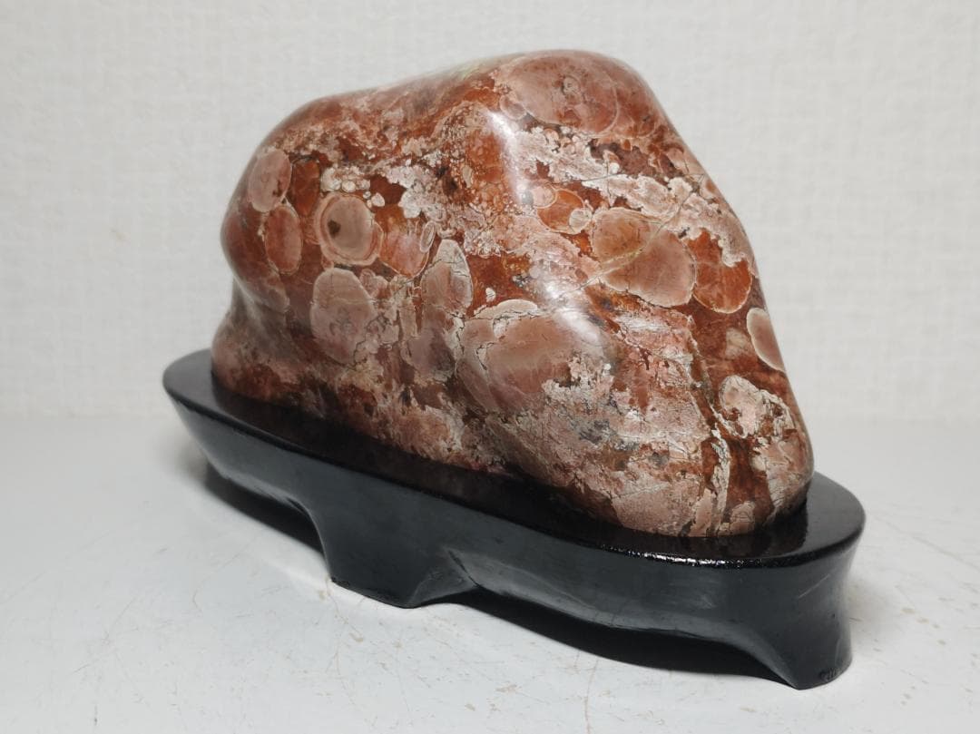 梅花石 1.6kg 鑑賞石 原石 菊花石 紋石 花紋石 自然石 水石 置石