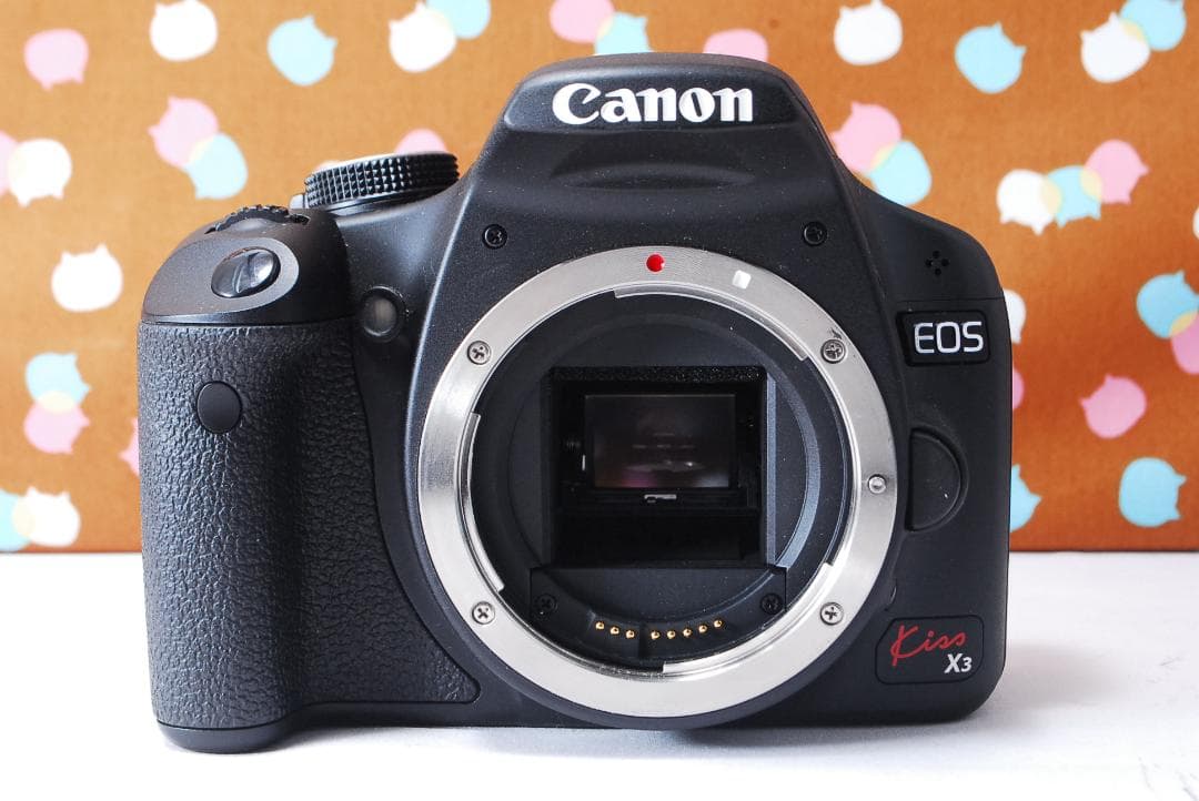 ✨ショット数1993回✨美品✨Canon Kiss X3 ダブルレンズセット