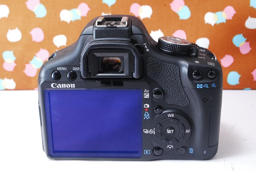 ✨ショット数1993回✨美品✨Canon Kiss X3 ダブルレンズセット