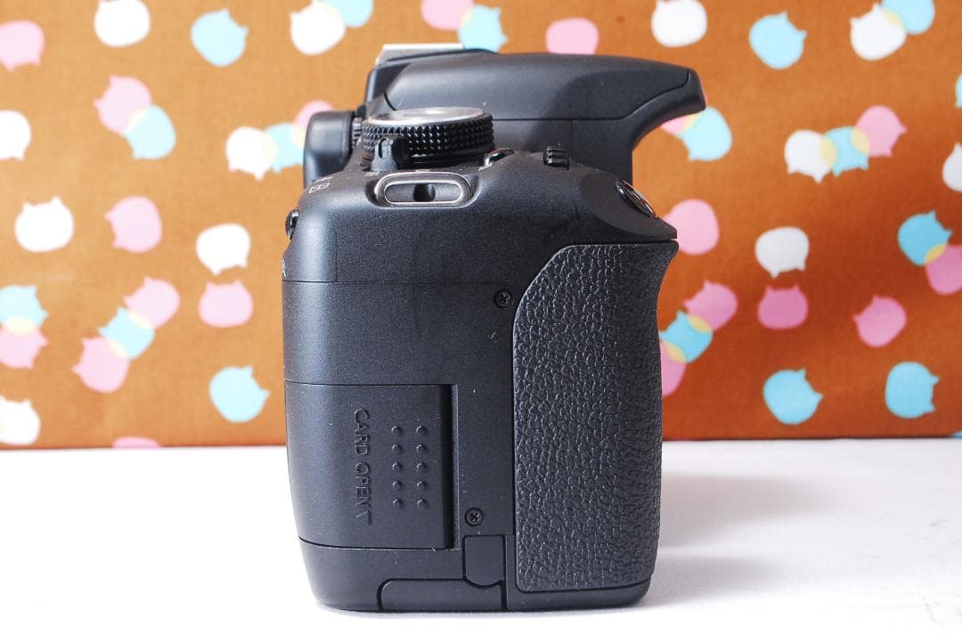 ✨ショット数1993回✨美品✨Canon Kiss X3 ダブルレンズセット