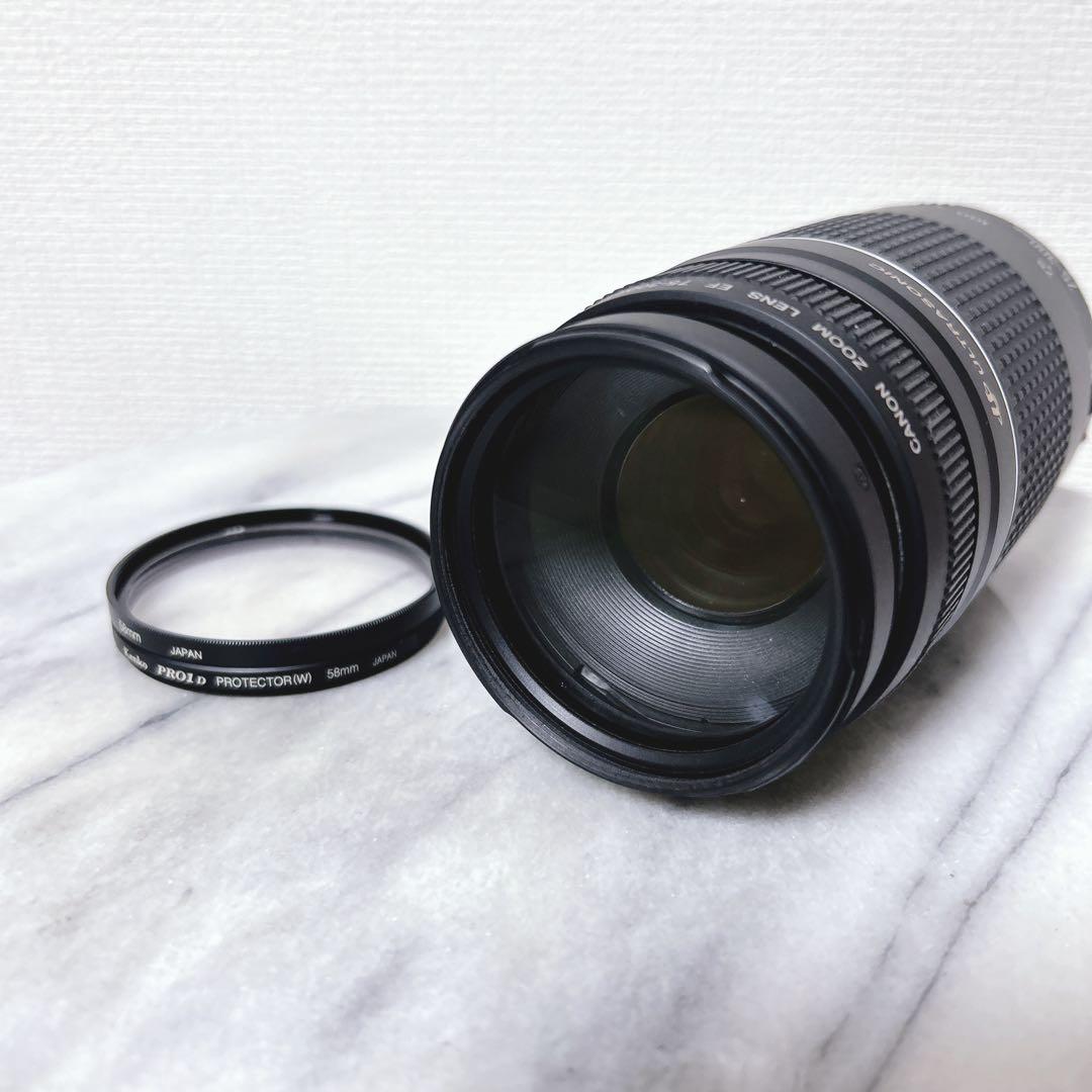 Canon EF 75-300mm F4-5.6 III USM 望遠レンズ