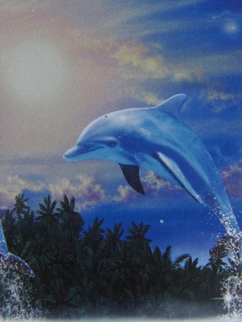 クリスチャン・ラッセン、【スターダスト ウェーブ】、希少な額装用