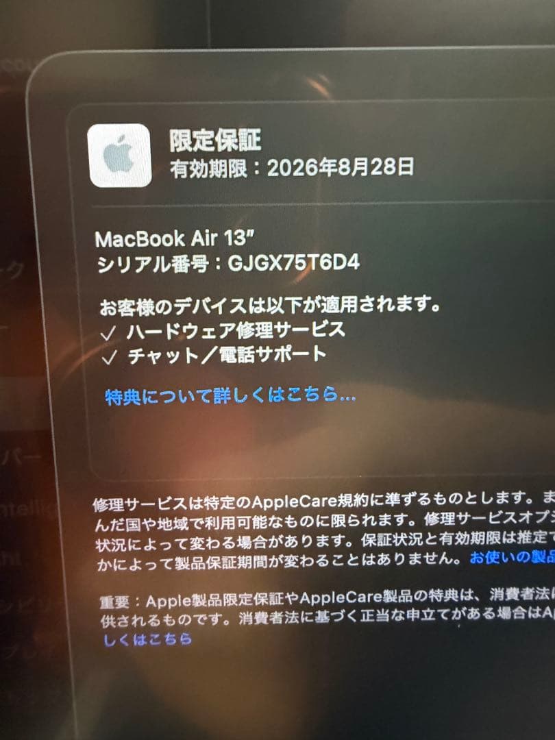 【Apple保証残あり】MacBook Air M4 16GB 256GB 美品