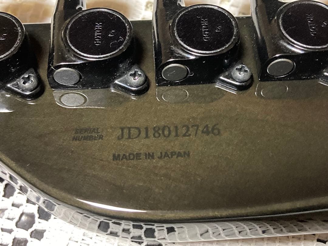 Fender Telecaster Thinline “BiSH”