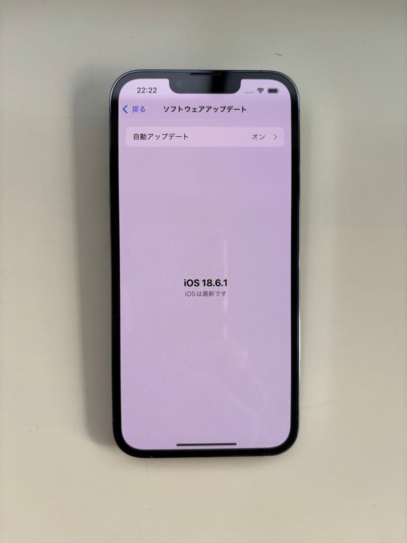 【美品】 iPhone 13 Pro 256GB