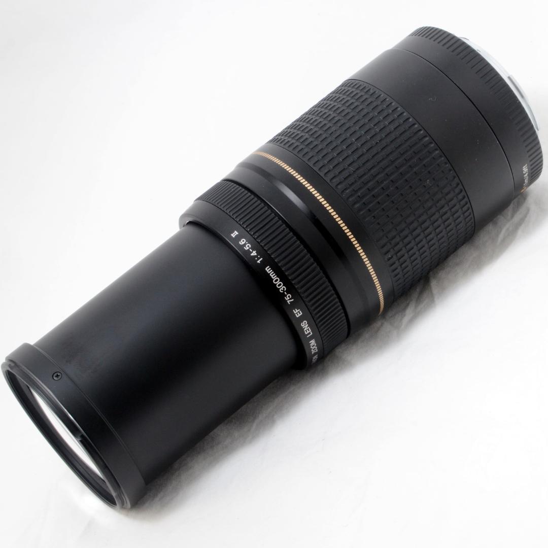 ★良品★Canon キャノン EF 75-300mm F4-5.6 Ⅱ USM