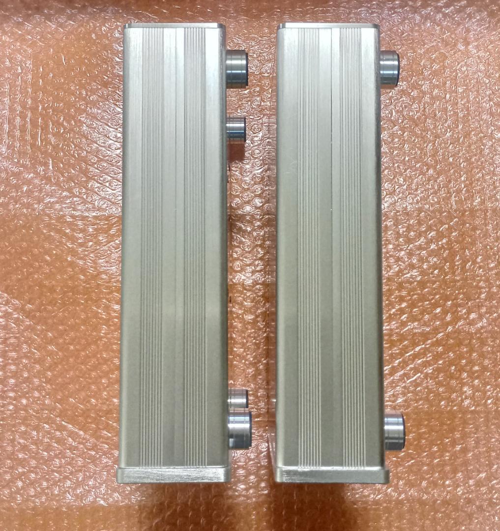 【美品】Hypex NCore NC400 +SMPS600モノラルパワーアンプ