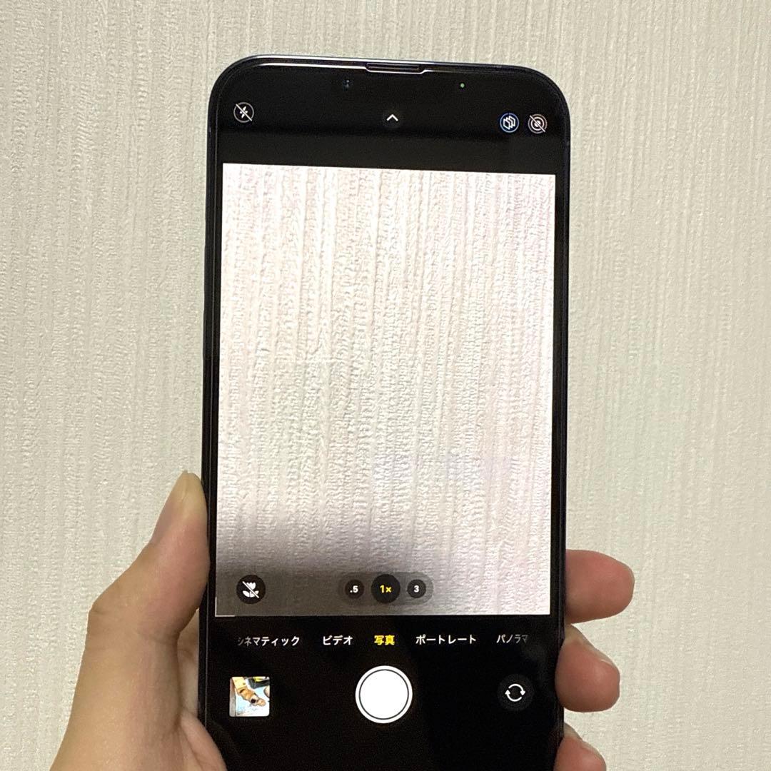 【美品】iPhone13 Pro Max 256gb 本体 シエラブルー