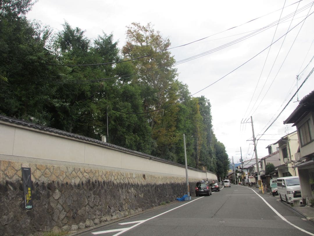 【動作品】Canon IXY 600F コンデジ パープル 作例あり