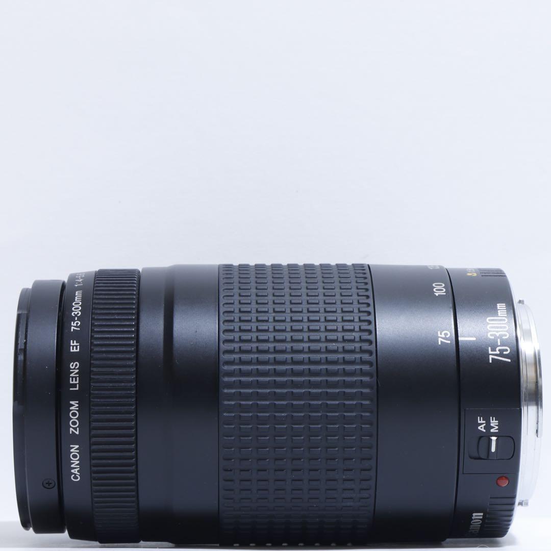 ◇大迫力300mm超望遠!!◇ Canon純正 75-300mm II型 ◇