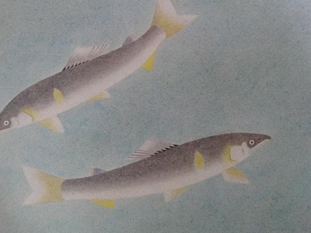 井村之彦、【富嶽朝陽】、希少な大判額装用画集より、美品、日本人画家