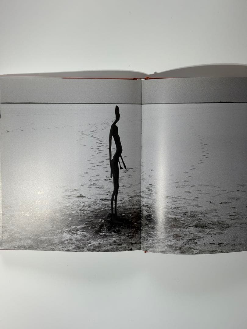 AntonyGormleyInsideAustralia アントニー・ゴームリー