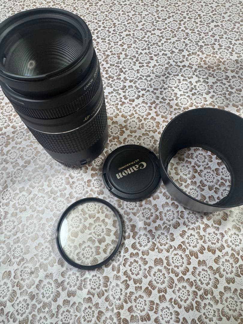 ◇超望遠&高速AF◇Canon純正 75-300mm Ⅲ 望遠レンズ!!◇