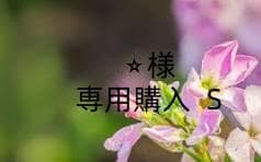 ⭐︎購入 S XG ZC83S スイフト（スズキ）の価格・スペック情報{令和2年5月〜令和