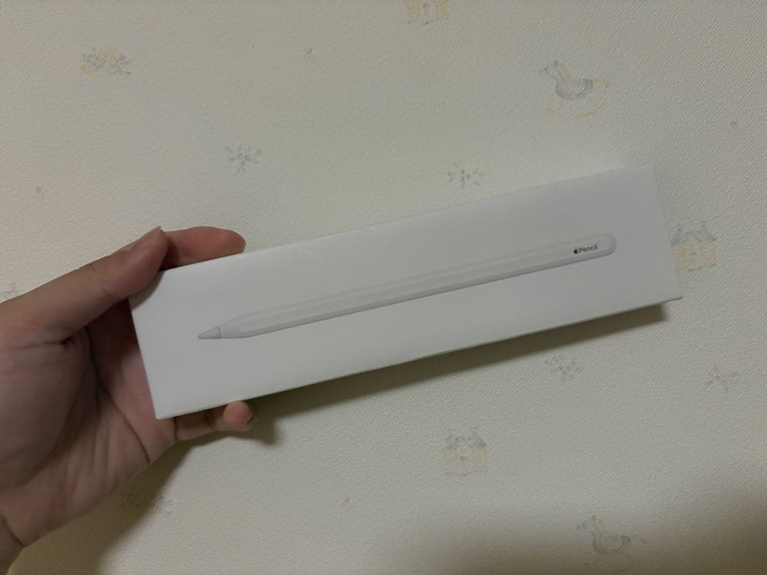 Apple Pencil ホワイト 専用パッケージ付き Apple Pencil (USB-C) - White– Curacao