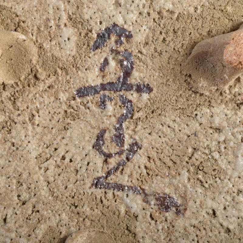 北大路魯山人作 志野焼 絵志野 鉄絵花草文 皿 五客 時代箱 M 8880の