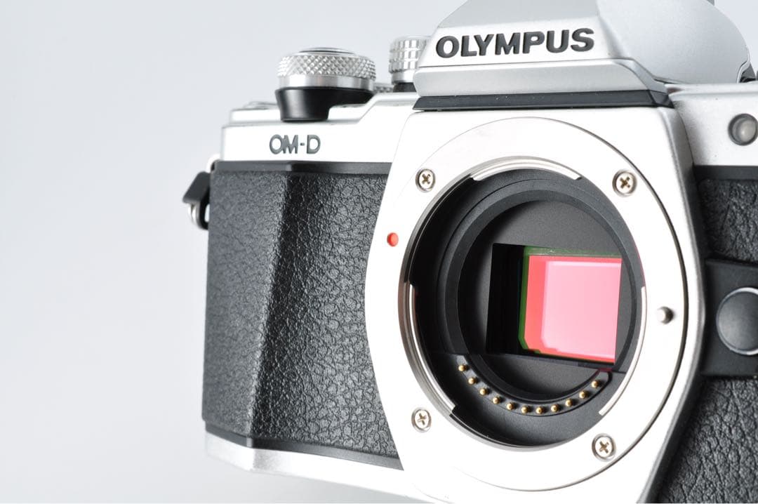 《 S数2210回！ 》OLYMPUS OM-D E-M10 II ボディ
