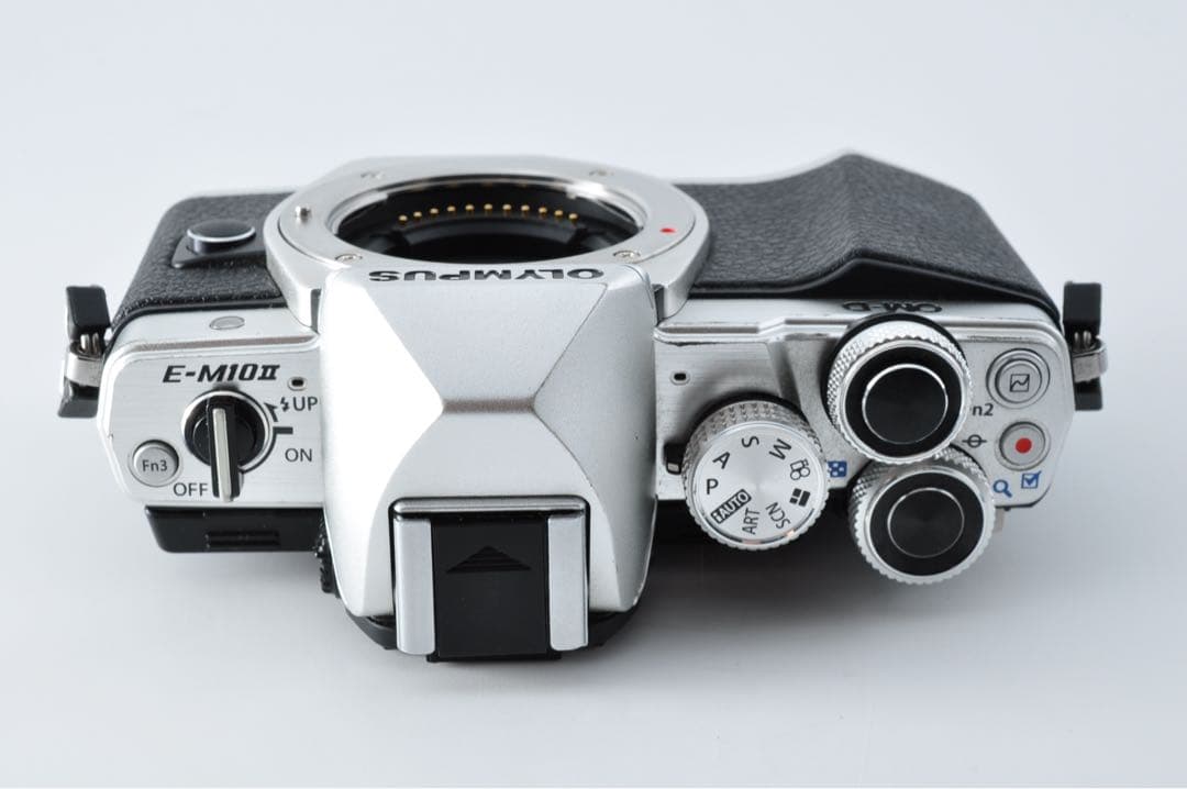《 S数2210回！ 》OLYMPUS OM-D E-M10 II ボディ