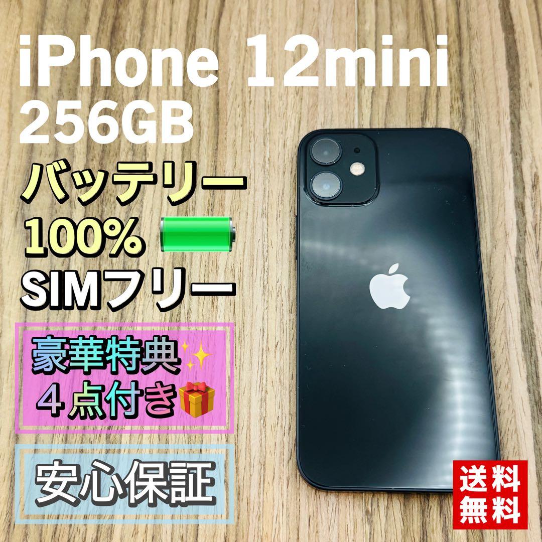 iPhone12mini ブラック 256GB SIMフリー 新品バッテリー - メルカリ