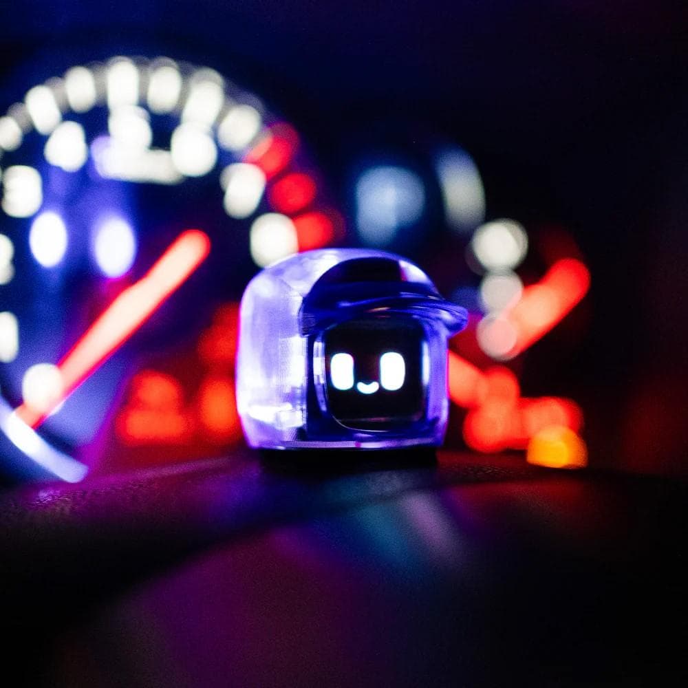 ダサイ もち 3 FUTURES MOCHI 未来もち パープル 紫 DASAI - メルカリ